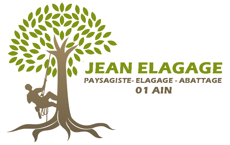 PIERROT Jean elagage 01